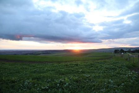 Time for sunset - Daylesford