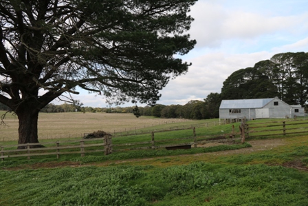 Shearing shed