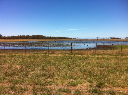 Wetlands - Lower SE SA